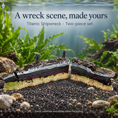 Titanic Shipwreck Ornament – 13 Inch Set - Wild Pet Supply