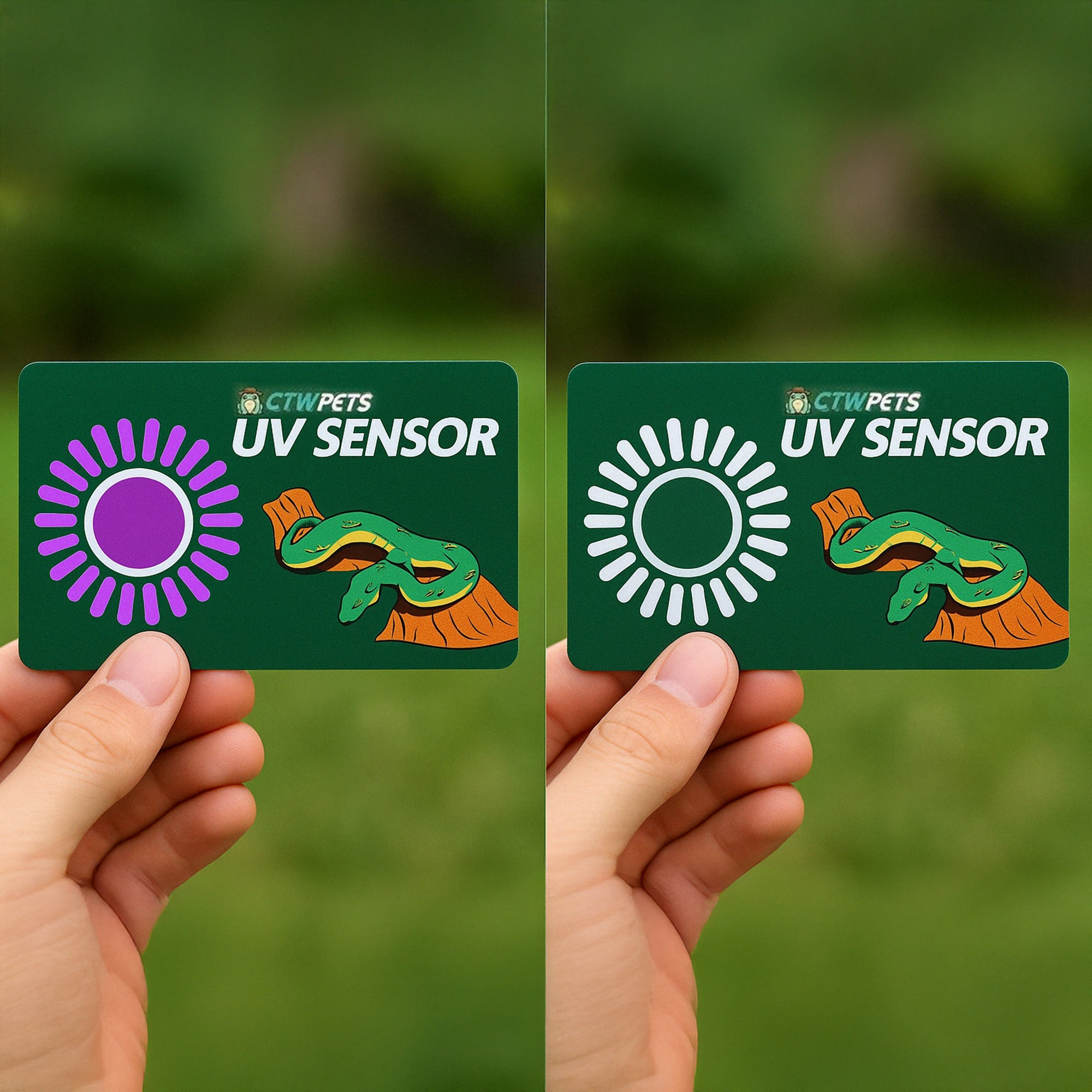 UVB Tester Reptile Lamp UV Sensor Reptile UVA UVB Fluorescent Lamp Tester Card - Wild Pet Supply