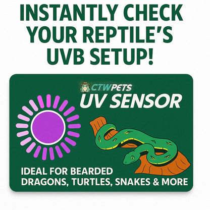 UVB Tester Reptile Lamp UV Sensor Reptile UVA UVB Fluorescent Lamp Tester Card - Wild Pet Supply