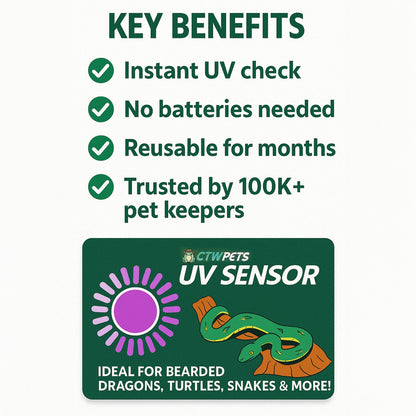UVB Tester Reptile Lamp UV Sensor Reptile UVA UVB Fluorescent Lamp Tester Card - Wild Pet Supply