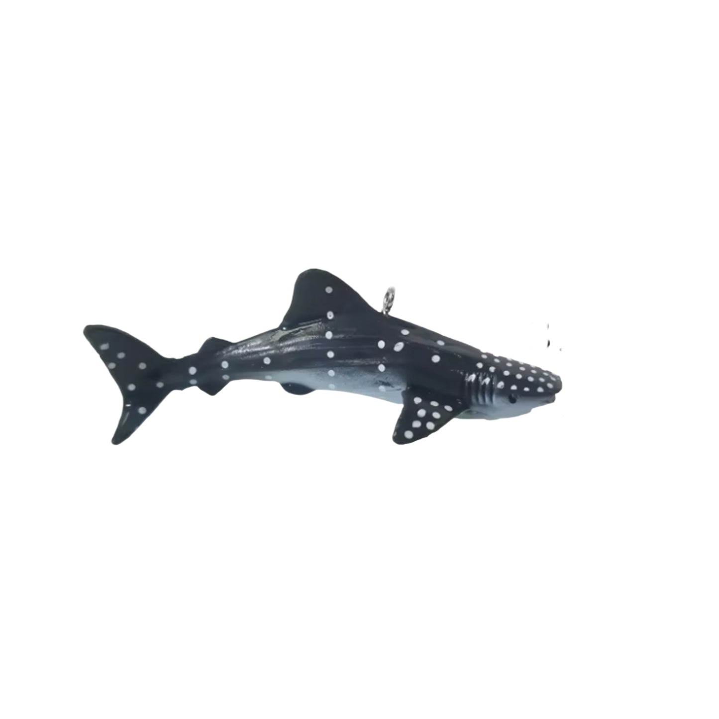 Floating Shark – Drifts with Water Current