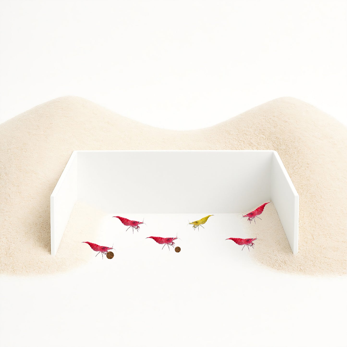 Feeding Cove Barrier – Substrate Retention Wall