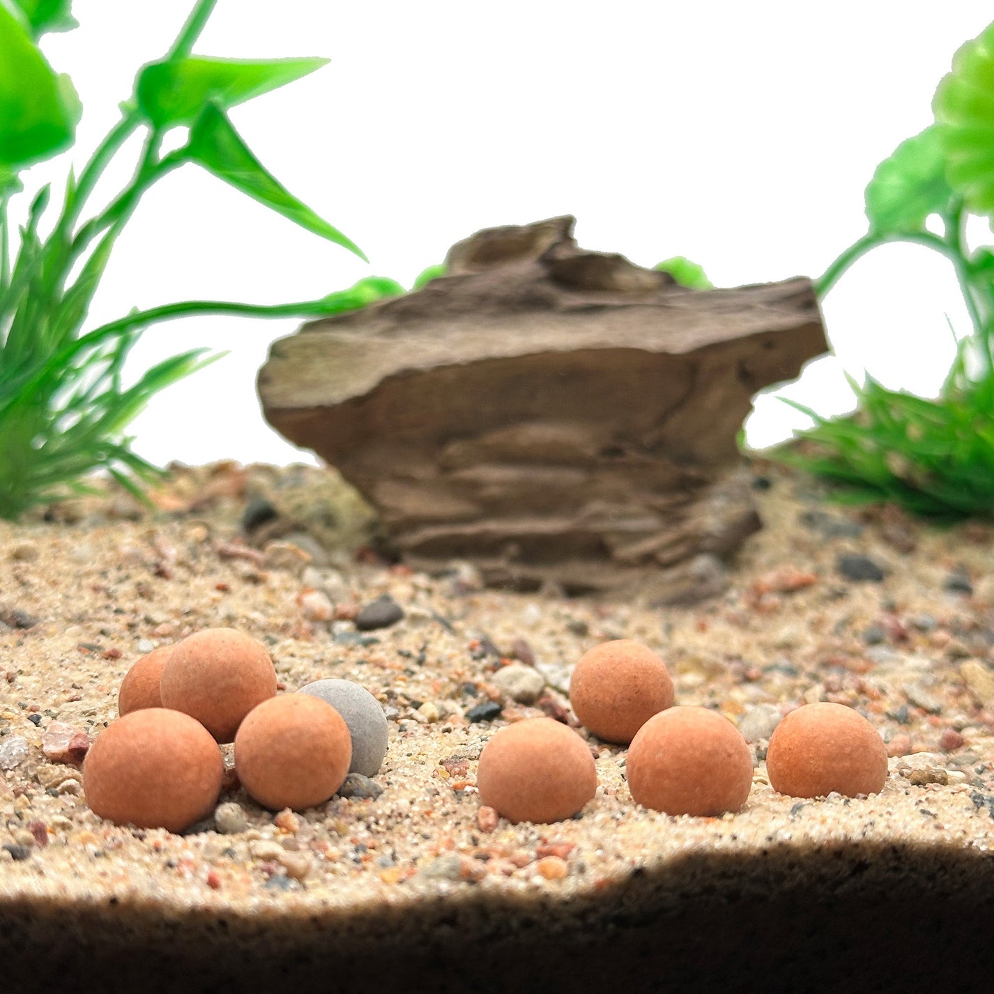 10 Pack Shrimp Mineral Balls for Aquarium Tourmaline PH Balance Wild