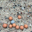 10 Pack Shrimp Mineral Balls for Aquarium Tourmaline PH Balance - Wild Pet Supply