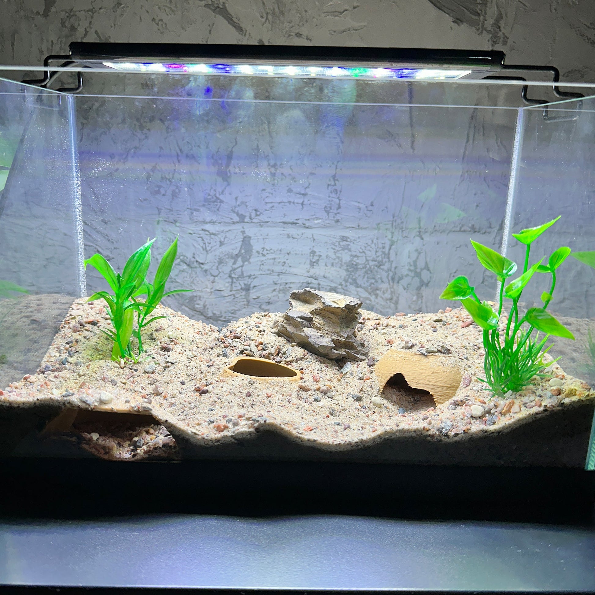 Shrimp Nano Tunnel - Shrimp Hide for Aquarium - Fish Tank Decor Tunnel 2  Pack - Wild Pet Supply