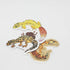 3 Pack Leopard Gecko Sticker Pack - Wild Pet Supply