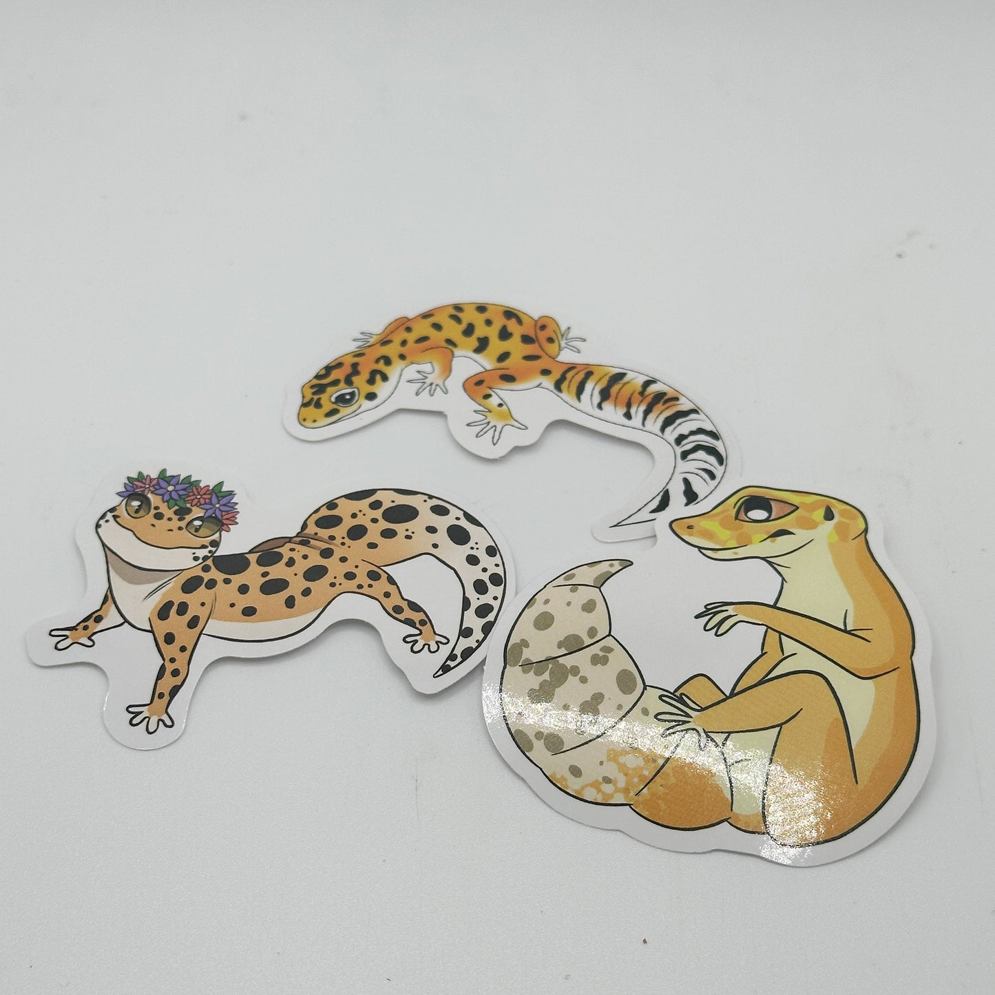 3 Pack Leopard Gecko Sticker Pack - Wild Pet Supply