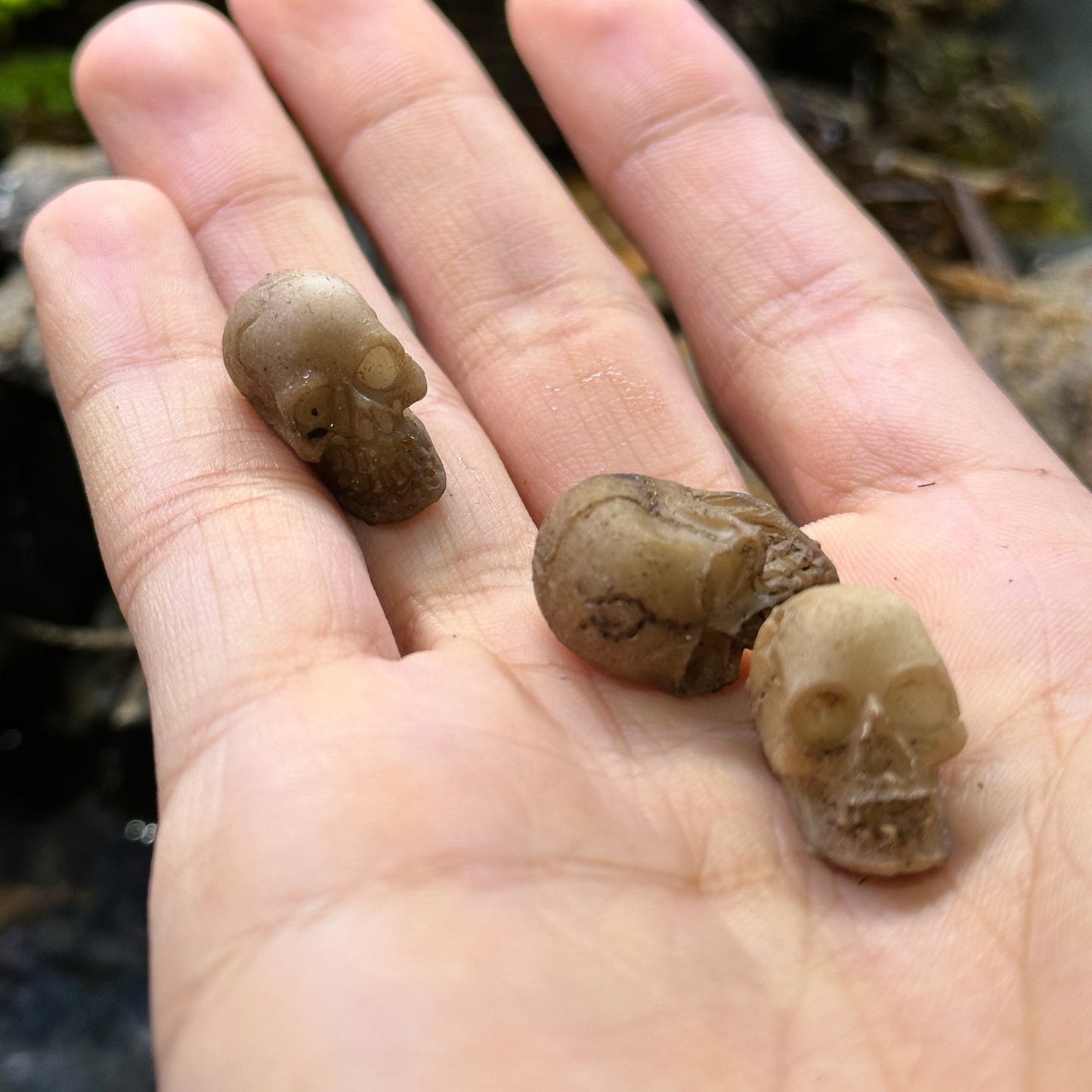 3 Pack Skull Terrarium Aquarium Decor - Wild Pet Supply