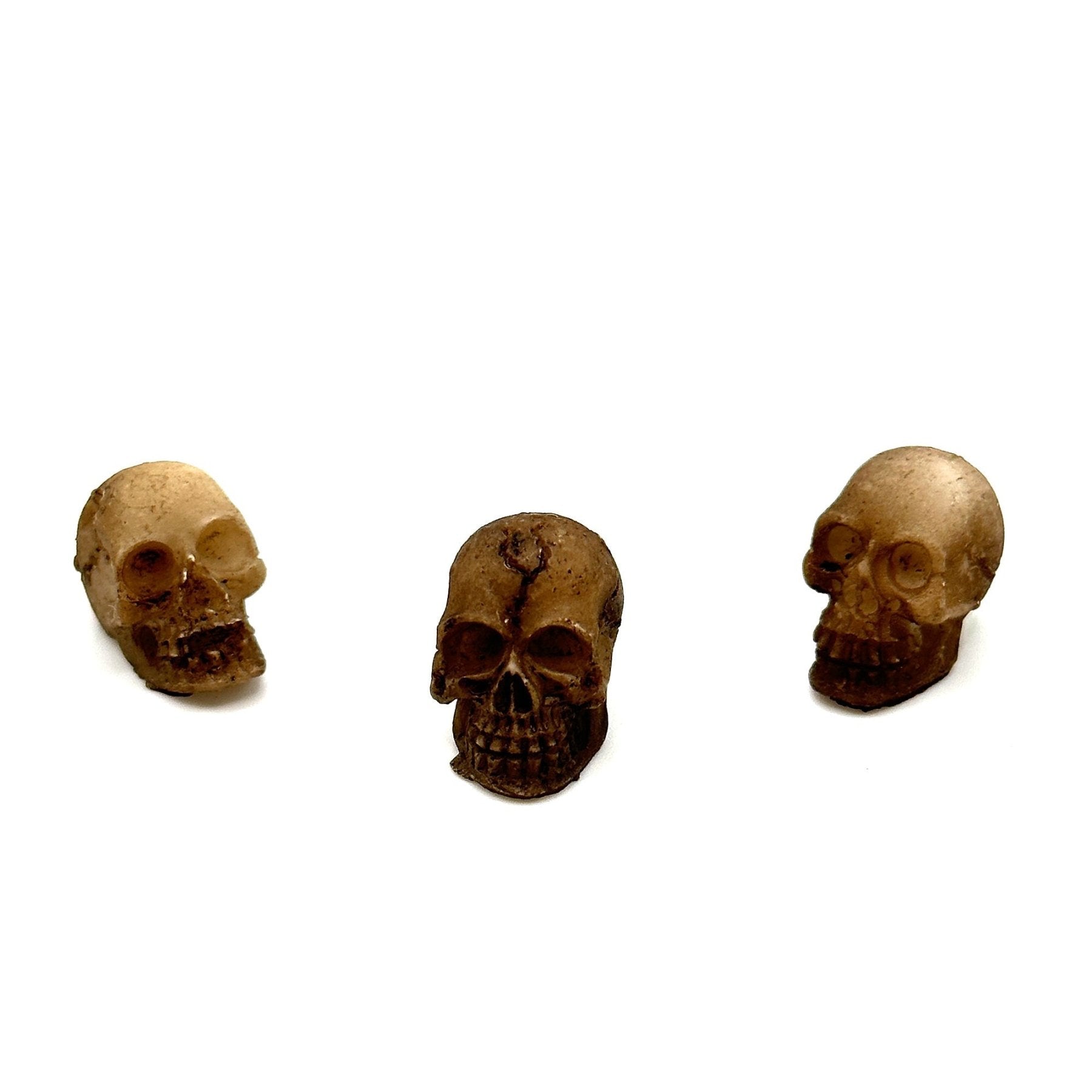 3 Pack Skull Terrarium Aquarium Decor - Wild Pet Supply