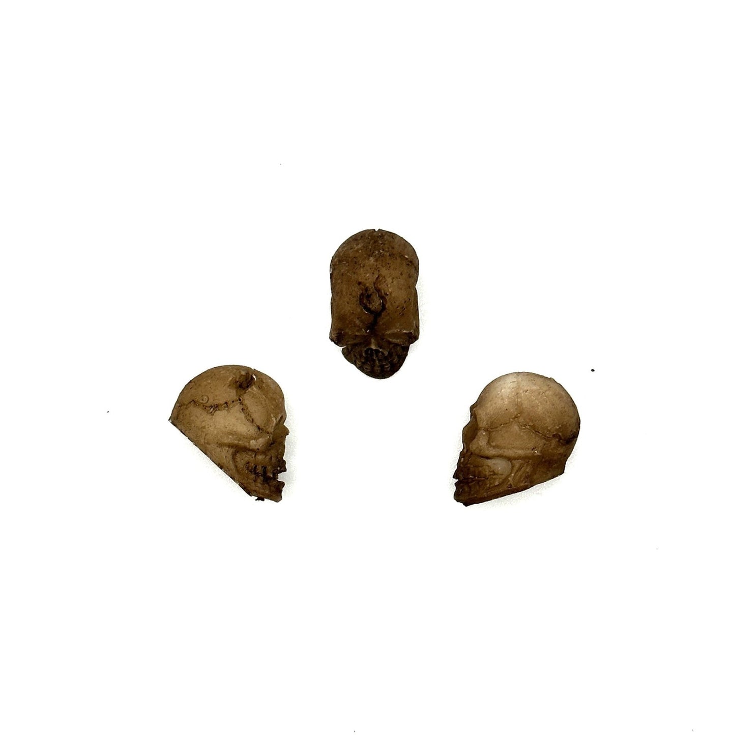 3 Pack Skull Terrarium Aquarium Decor - Wild Pet Supply