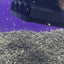 Hexagonal Shrimp Hide - Aquarium Shrimp Hides - Protects Aquarium Shrimps