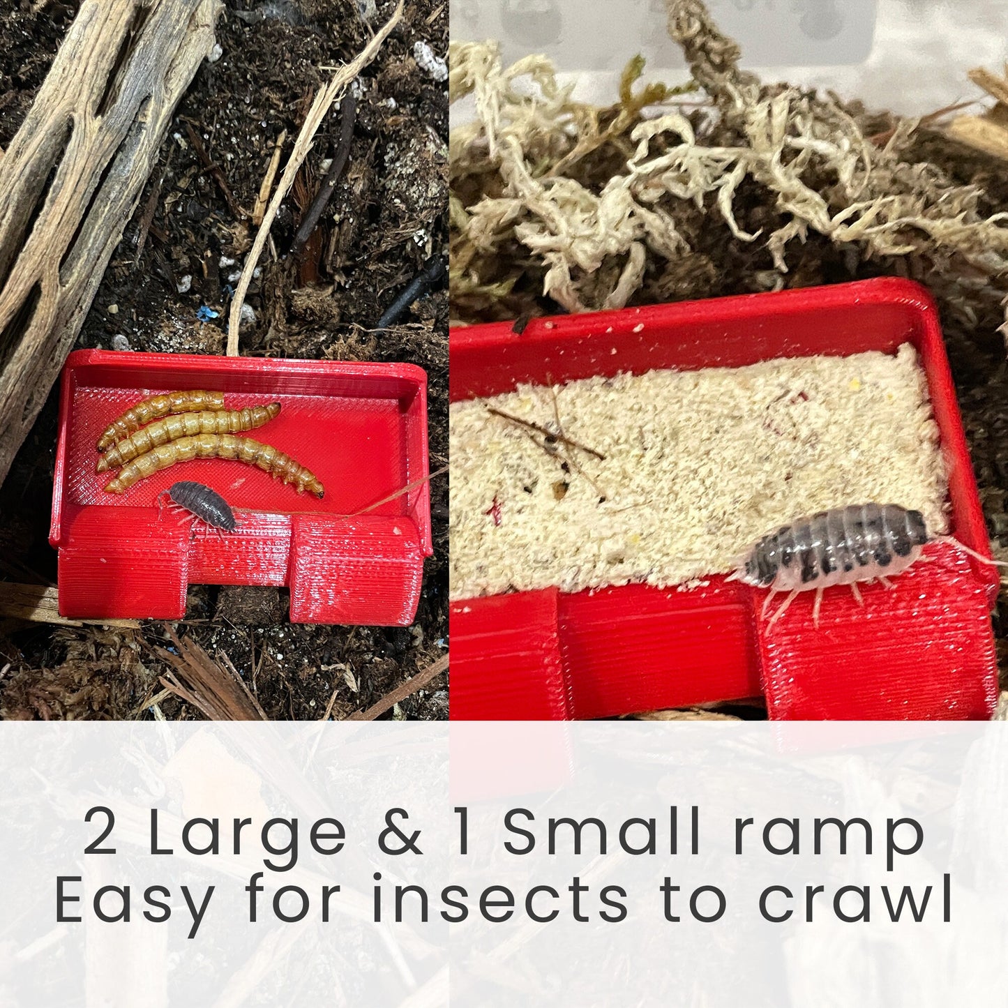 Insect Feeding Dish With Ramps - Isopod Millipede Crickets Roaches Feeding Dish/Tray - CTW Reptiles™
