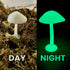 LARGE GLOW In The DARK Mushrooms | For Terrariums with Crested Geckos, Leopard Geckos, Isopods and more!