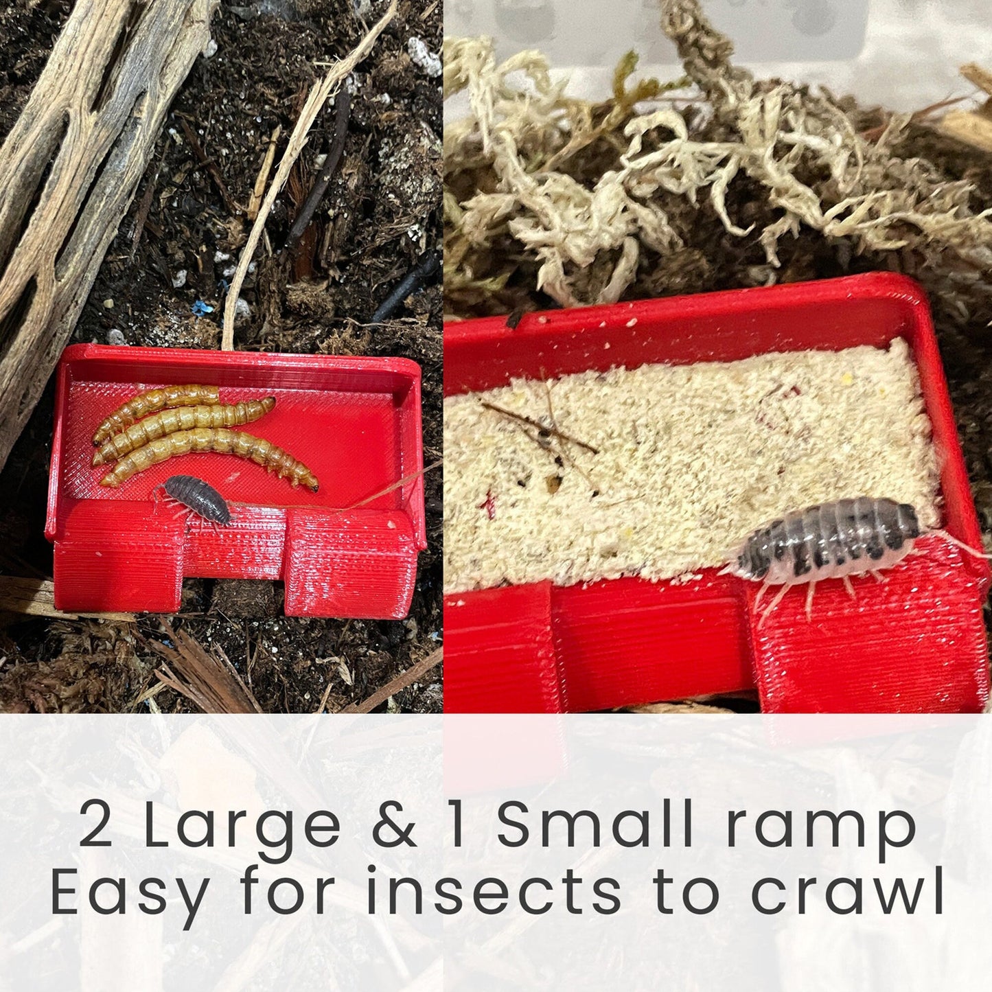 Insect Feeding Dish With Ramps 6 Pack - Isopod Millipede Crickets Roaches Feeding Dish/Tray - CTW Reptiles™