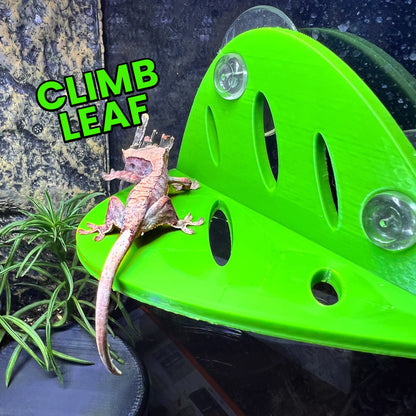 Gecko LEAF Climbing Wall - Crested Gecko Leaf Wall -  Terrarium Decor - Gecko Resting Spot