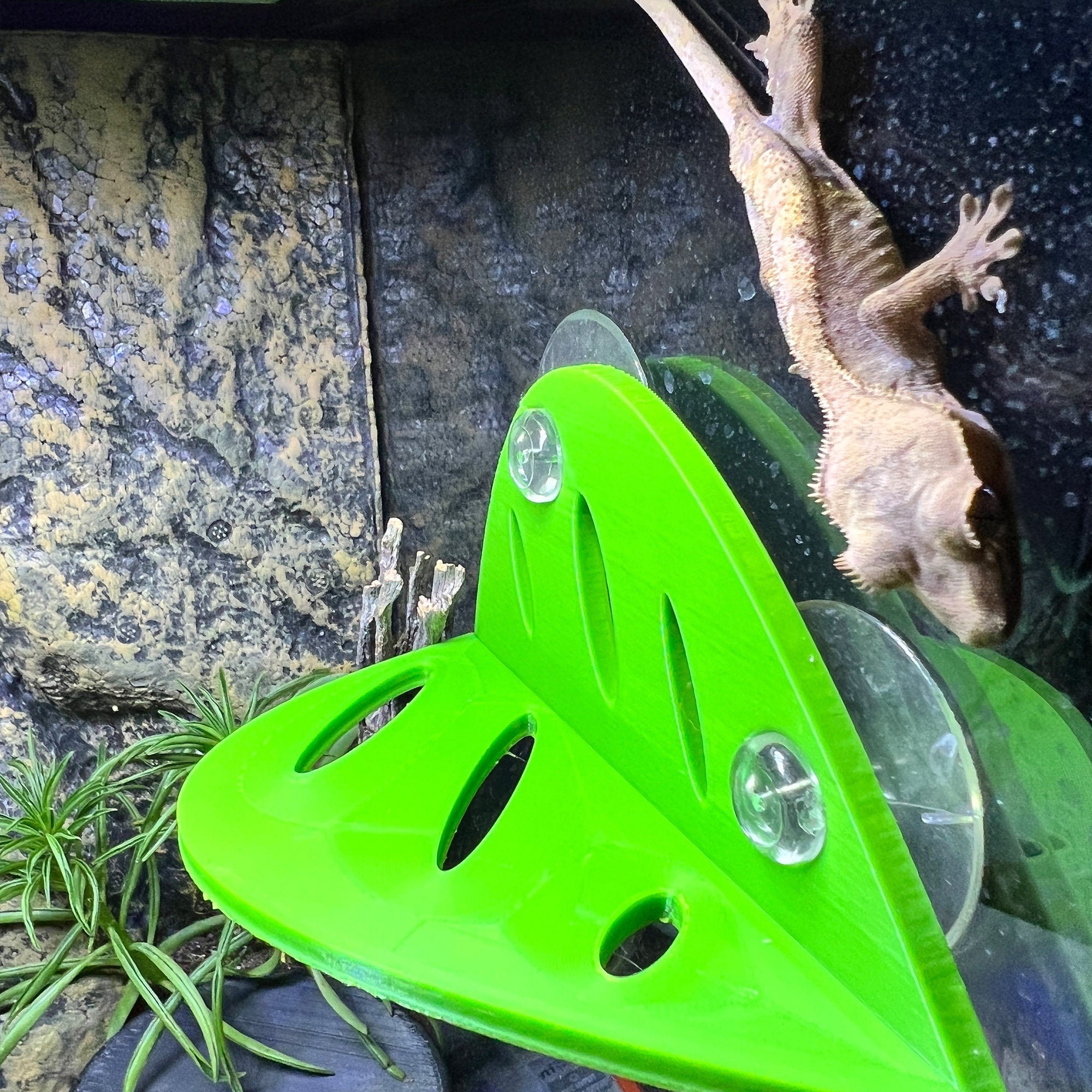 Gecko LEAF Climbing Wall - Crested Gecko Leaf Wall -  Terrarium Decor - Gecko Resting Spot