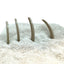 Aquarium Bone Decoration - Dinosaur Rib Bone Decor - Betta Fish Aquarium Decor - Wild Pet Supply