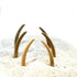 Aquarium Bone Decoration - Dinosaur Rib Bone Decor - Betta Fish Aquarium Decor - Wild Pet Supply