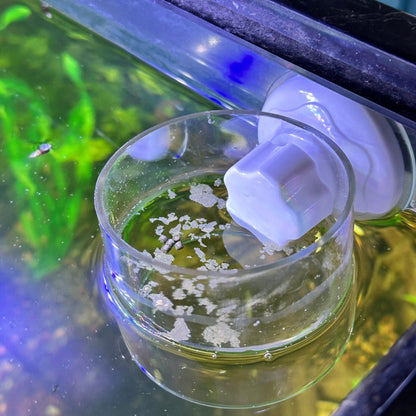 Aquarium Ring Feeder Suction Cup - Wild Pet Supply