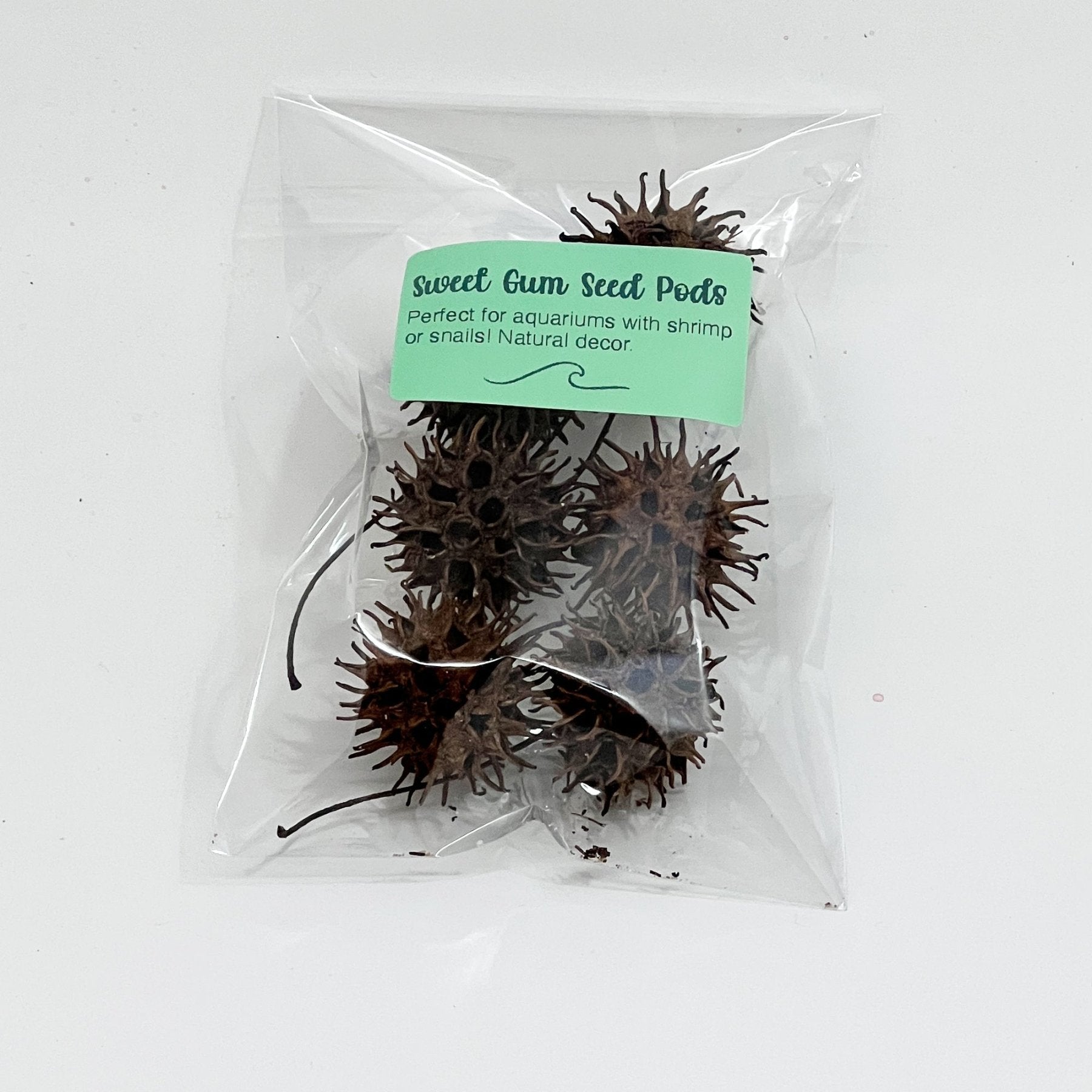 Aquarium Star Seed Pod Decor - Natural Tannins - Fish Tank Betta Fish - Wild Pet Supply