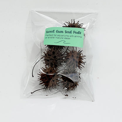 Aquarium Star Seed Pod Decor - Natural Tannins - Fish Tank Betta Fish - Wild Pet Supply