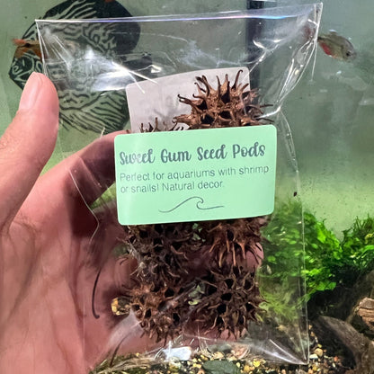 Aquarium Star Seed Pod Decor - Natural Tannins - Fish Tank Betta Fish - Wild Pet Supply