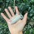 AQUARIUM & TERRARIUM Cuttlebone Calcium source - Betta Fish, Snail, Isopod calcium back - Wild Pet Supply