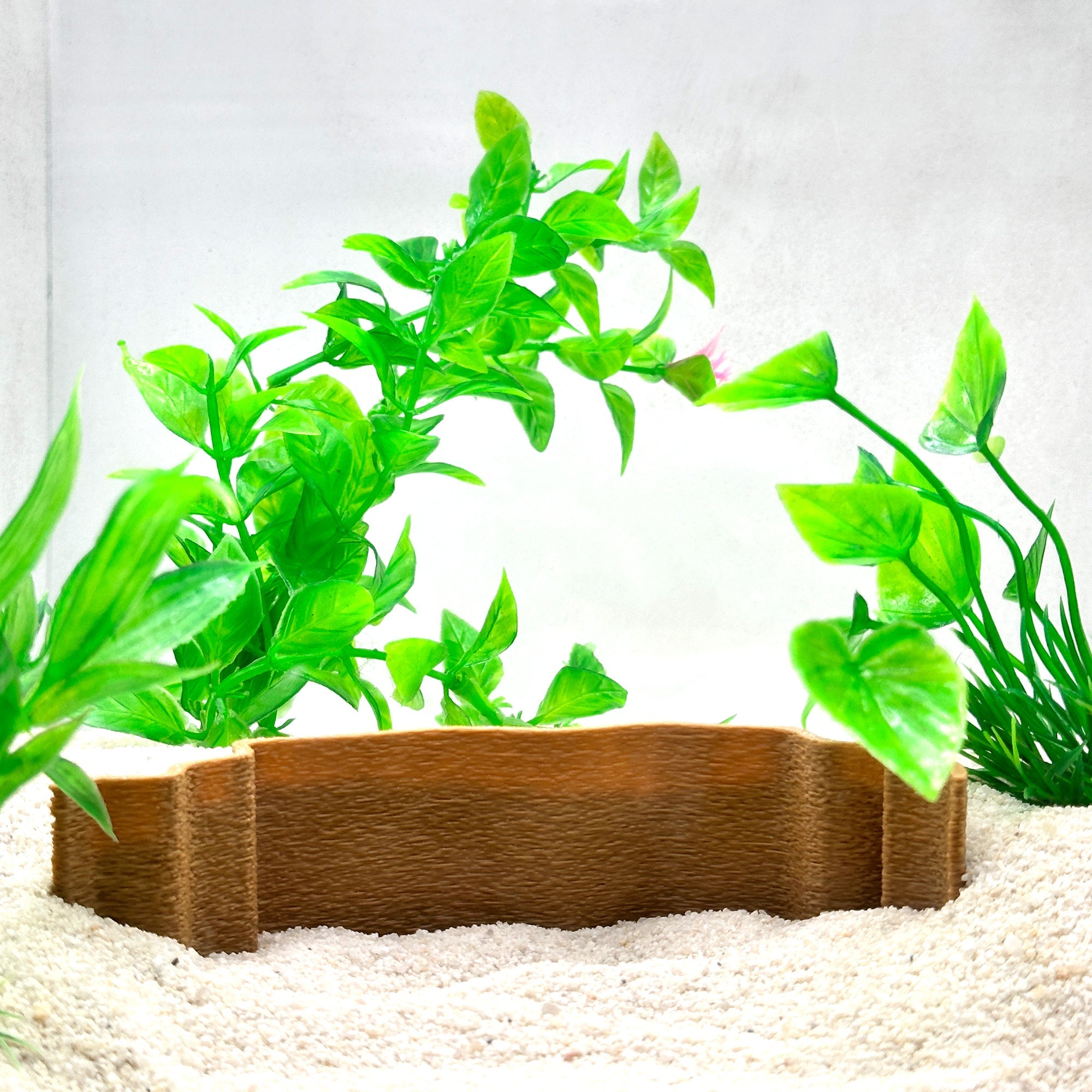 Aquascape aquarium outlet supplies