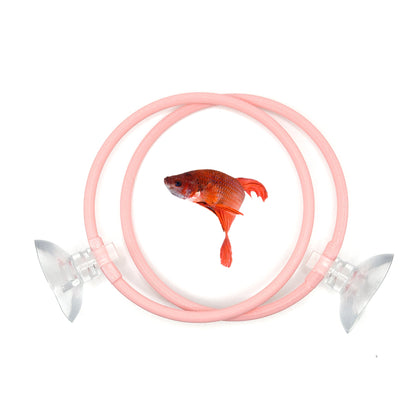 Betta Fish Ring For Betta Fish Trainning 2 Pack | Betta Excercise Loop Betta Loop For Aquarium Decor | CTWPets™ - Wild Pet Supply