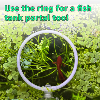 Betta Training Rings – 2 Pack Exercise Loops - Wild Pet Supply