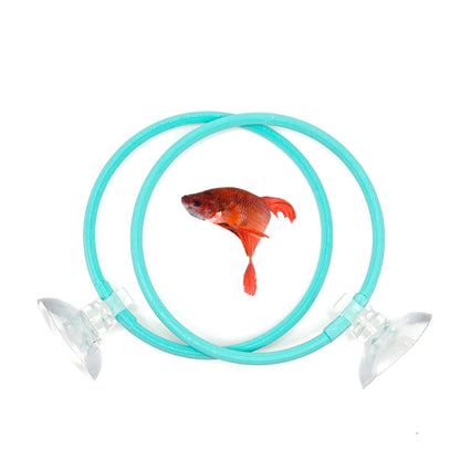 Betta Training Rings – 2 Pack Exercise Loops - Wild Pet Supply