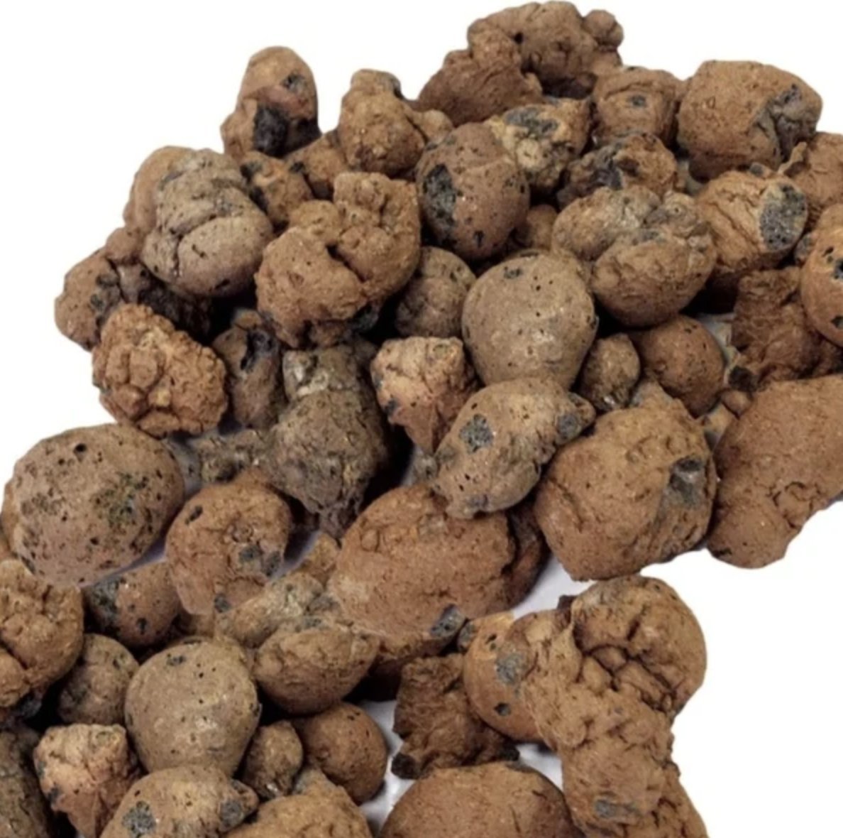 Bio Media Clay Pellets Hydrocorn - Wild Pet Supply