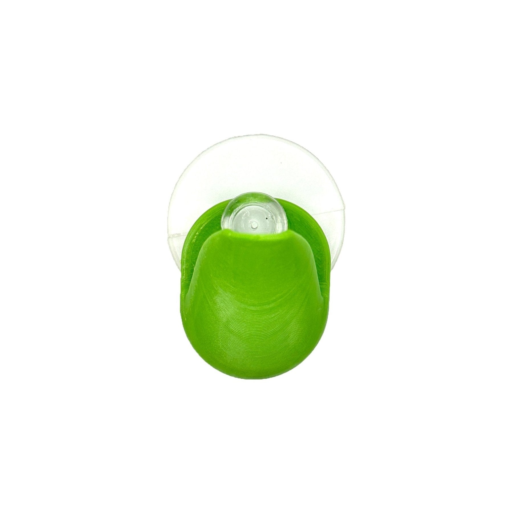 Bromeliad Leaf Pod – Dart Frog Hide - Wild Pet Supply