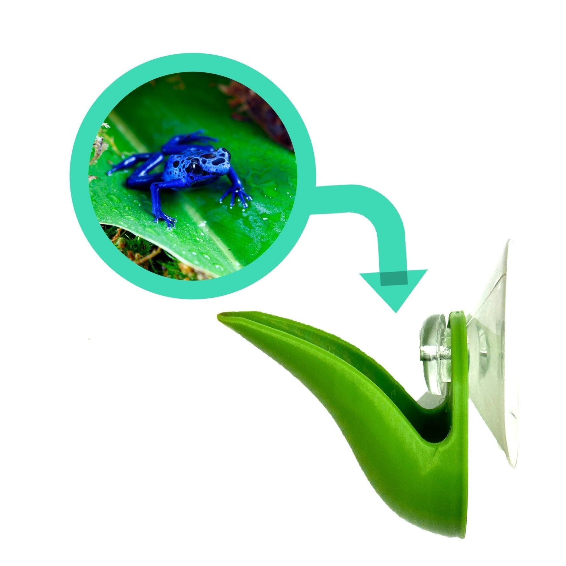 Bromeliad Leaf Pod – Dart Frog Hide - Wild Pet Supply