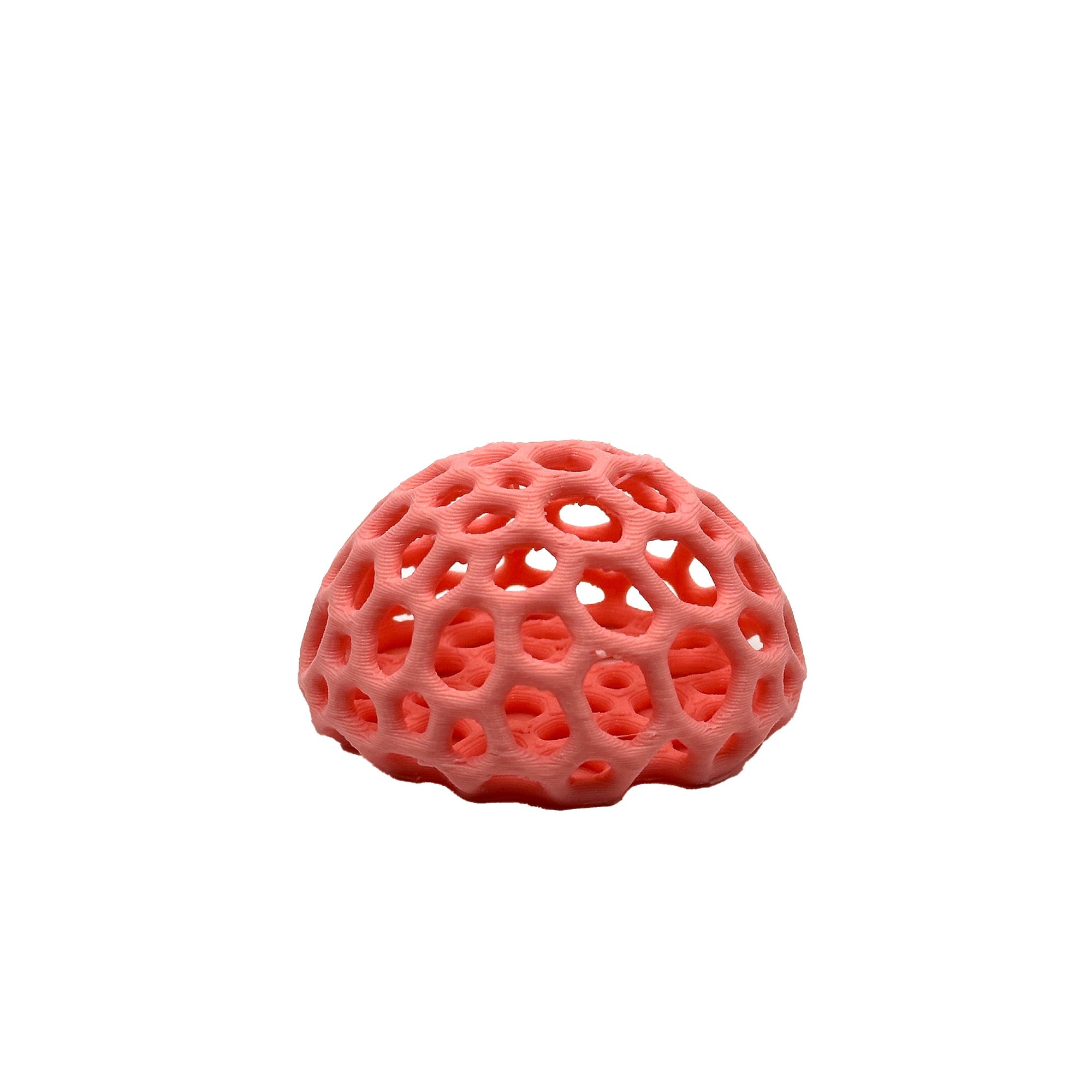 Colorful Shrimp Dome Hide | Aquarium Cherry Shrimp Hide - Wild Pet Supply