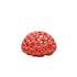 Colorful Shrimp Dome Hide | Aquarium Cherry Shrimp Hide - Wild Pet Supply