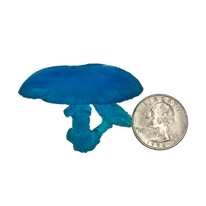Crystal Blue Mushroom For Gecko Terrariums - Wild Pet Supply