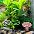 Custom Terrarium & Aquarium Sign | Named Pet Sign Perfect For Geckos, Frogs, Betta Fish - Wild Pet Supply