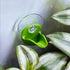 Dart Frog Leaf Pod - Bromeliad Leaf Hide - Wild Pet Supply