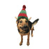 Dog Elf Hat | Holiday Accessory - Wild Pet Supply