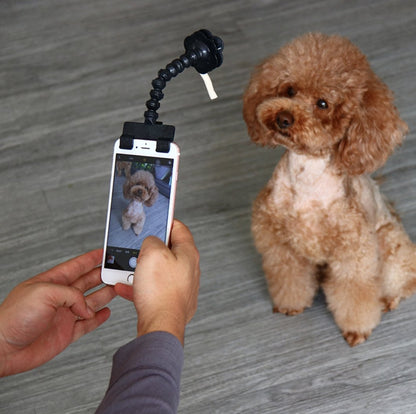 Dog Selfie Stick Phone Mount - Wild Pet Supply