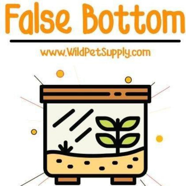 False Bottom for Terrariums WPS Essentials™ Wild Pet Supply