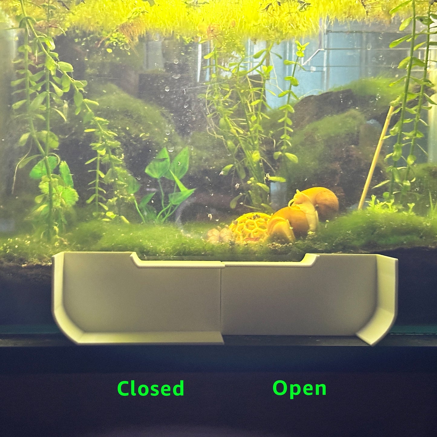 Fish Tunnel Large | Aquarium Tunnel Specifically for Fish - Wild Pet Supply