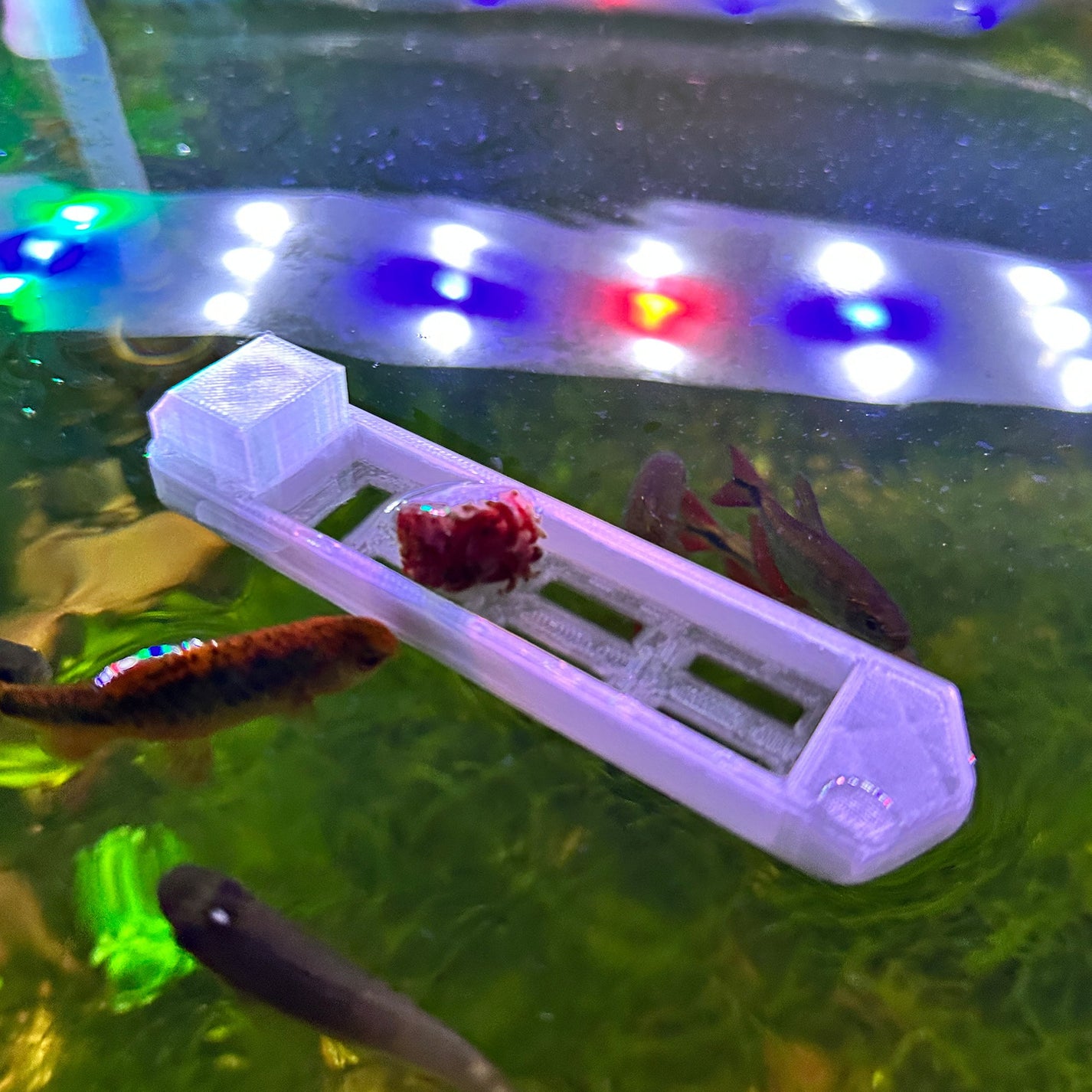 Floating Aquarium Feeder | Fish Tank Boat Feeder - Betta Fish Feeder ...