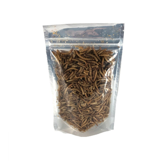 Freeze Dried Meal Worms 1oz - Wild Pet Supply