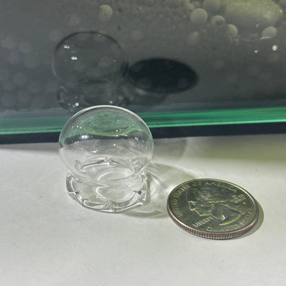 Glass Shrimp Feeding Bowl | Shrimp Food Bowl Holder - Wild Pet Supply