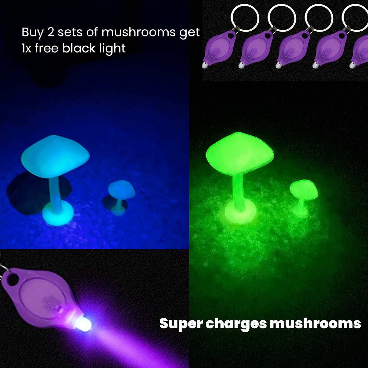GLOW In The DARK Mushrooms | For Terrariums with Crested Geckos, Leopard Geckos, Isopods and more! 4 PACK - Wild Pet Supply