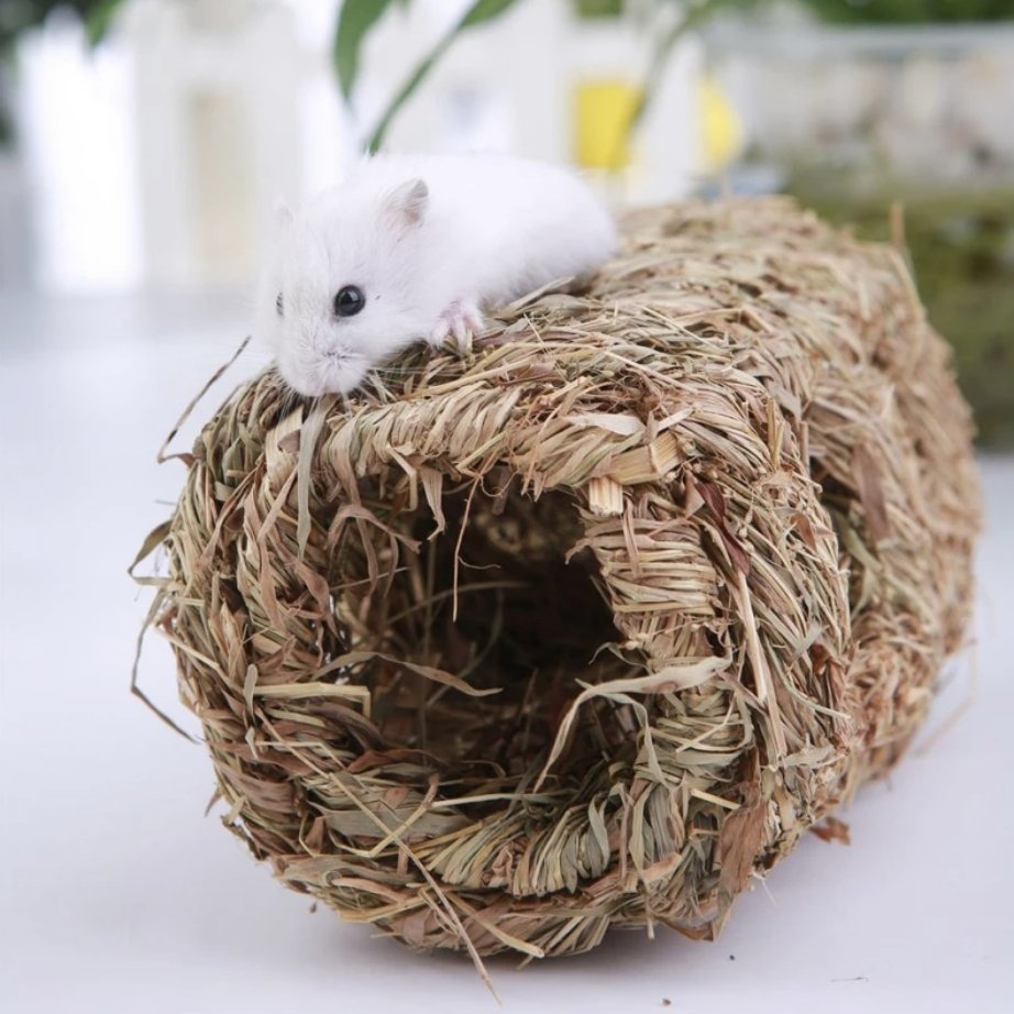 Hamster Grass Hide Hand Woven - Wild Pet Supply