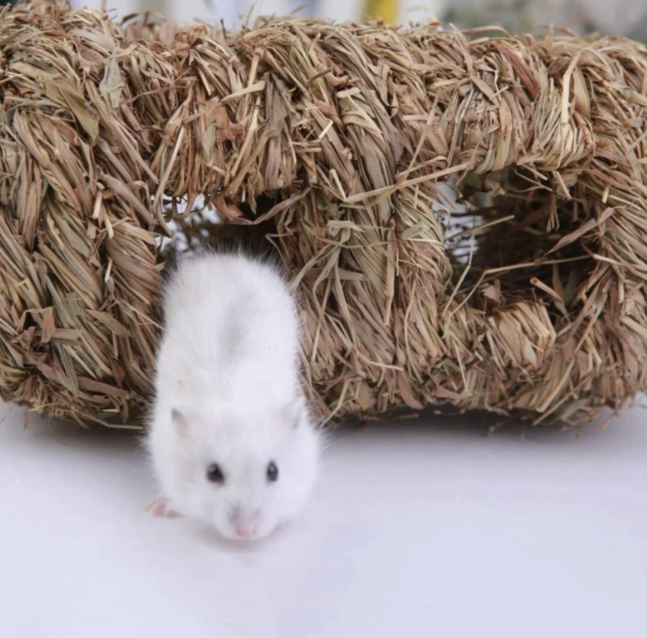 Hamster Grass Hide Hand Woven - Wild Pet Supply