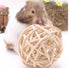Hamster Hand-weaved Ball - Wild Pet Supply